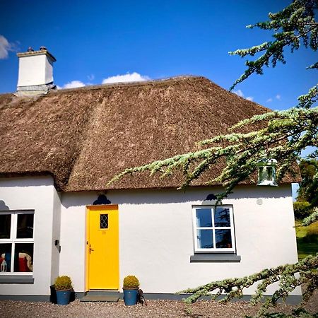 Vila Old Killarney Exteriér fotografie