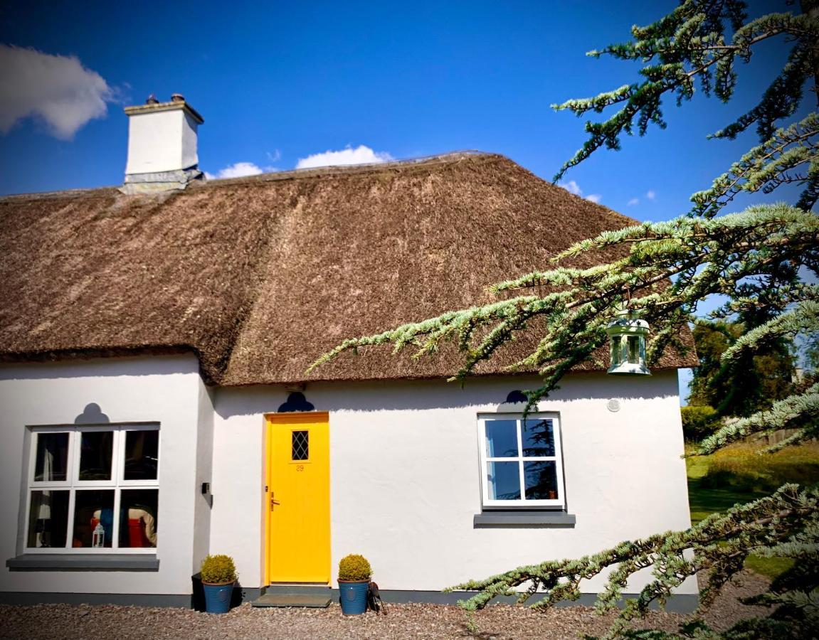 Vila Old Killarney Exteriér fotografie